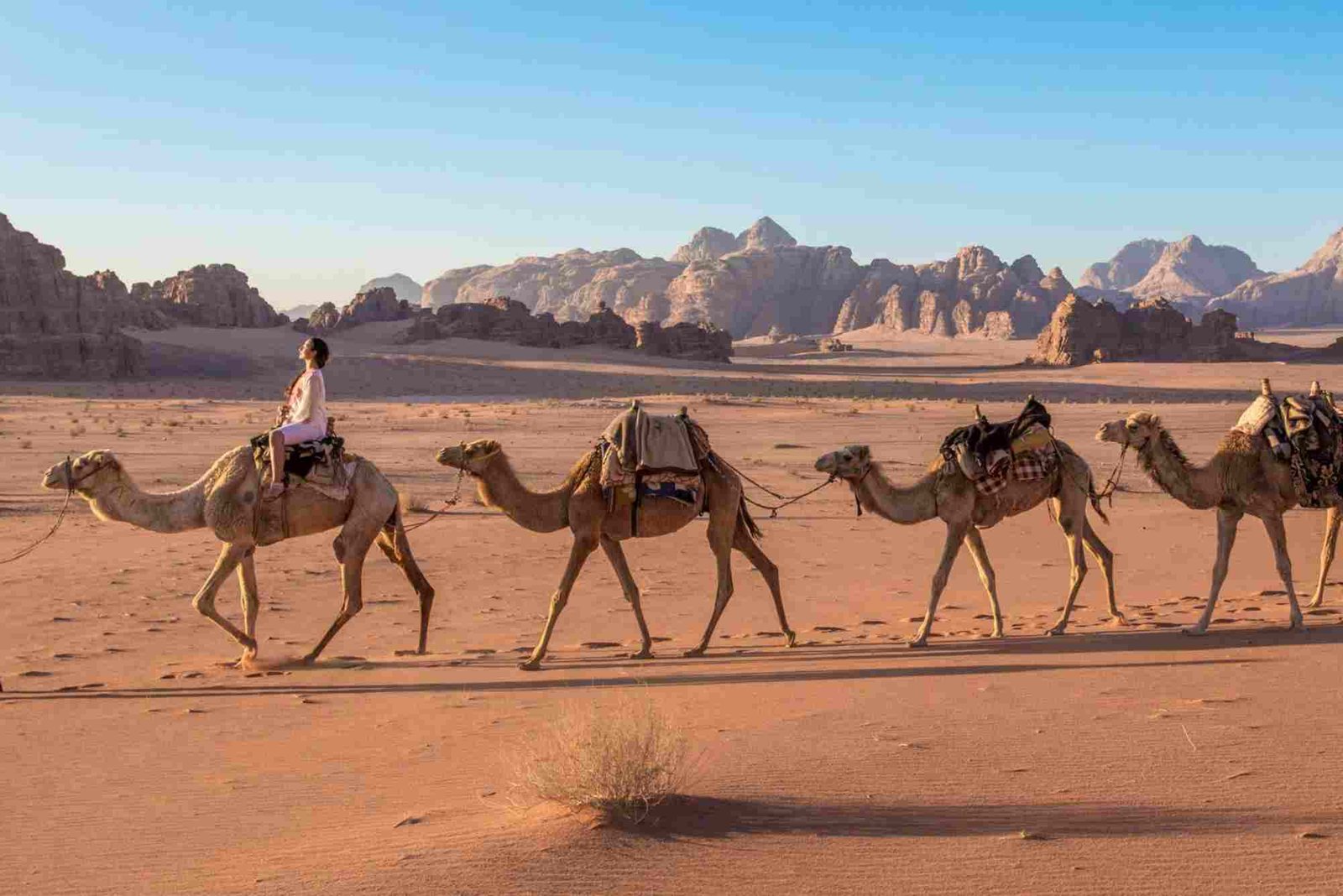 شركات سياحة وسفر في الاردن