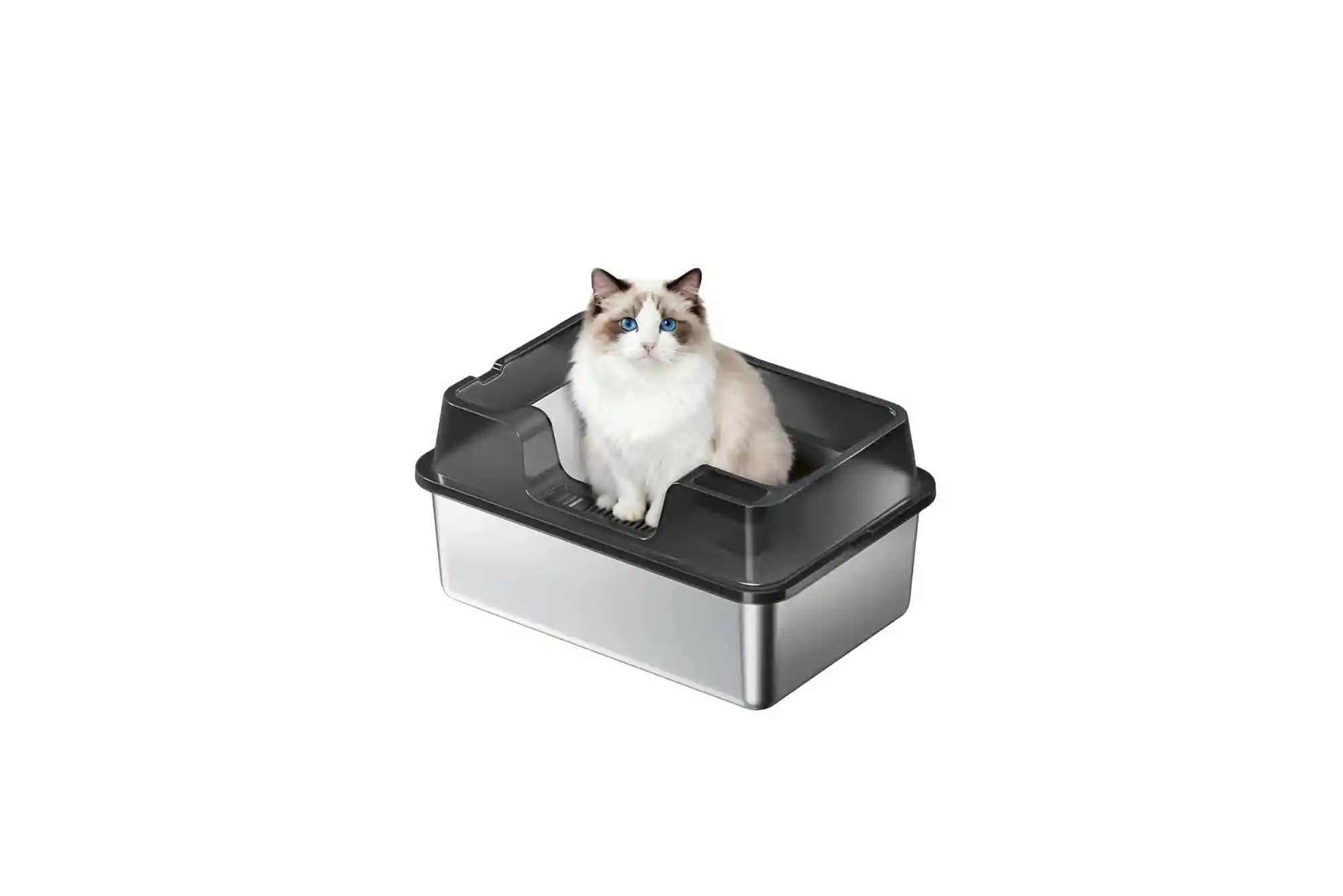 Best Top-Entry and High-Sided Litter Boxes for Cats That Kick Litter and High Pee-ers